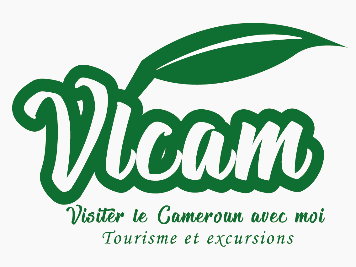 Logo vlcam